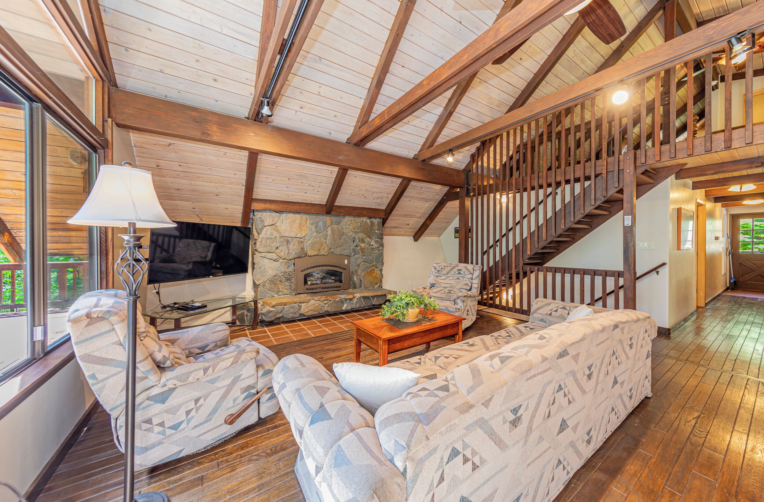 TV connectée, cheminée, livres, médiathèque