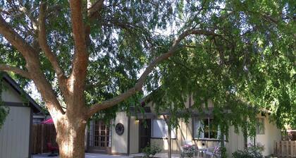 Cozy Guest House - Consultez notre vente de printemps!