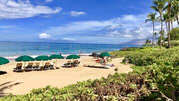 Accommodatie ligt op het strand, ligstoelen, strandlakens