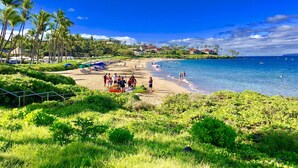 Una playa con palmeras, cielo despejado y vista al océano.