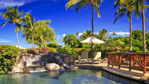 Un área de piscina con cascada, palmeras y sillones de descanso.