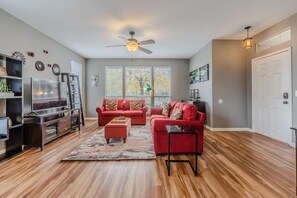 TV, fireplace, video games, DVD player