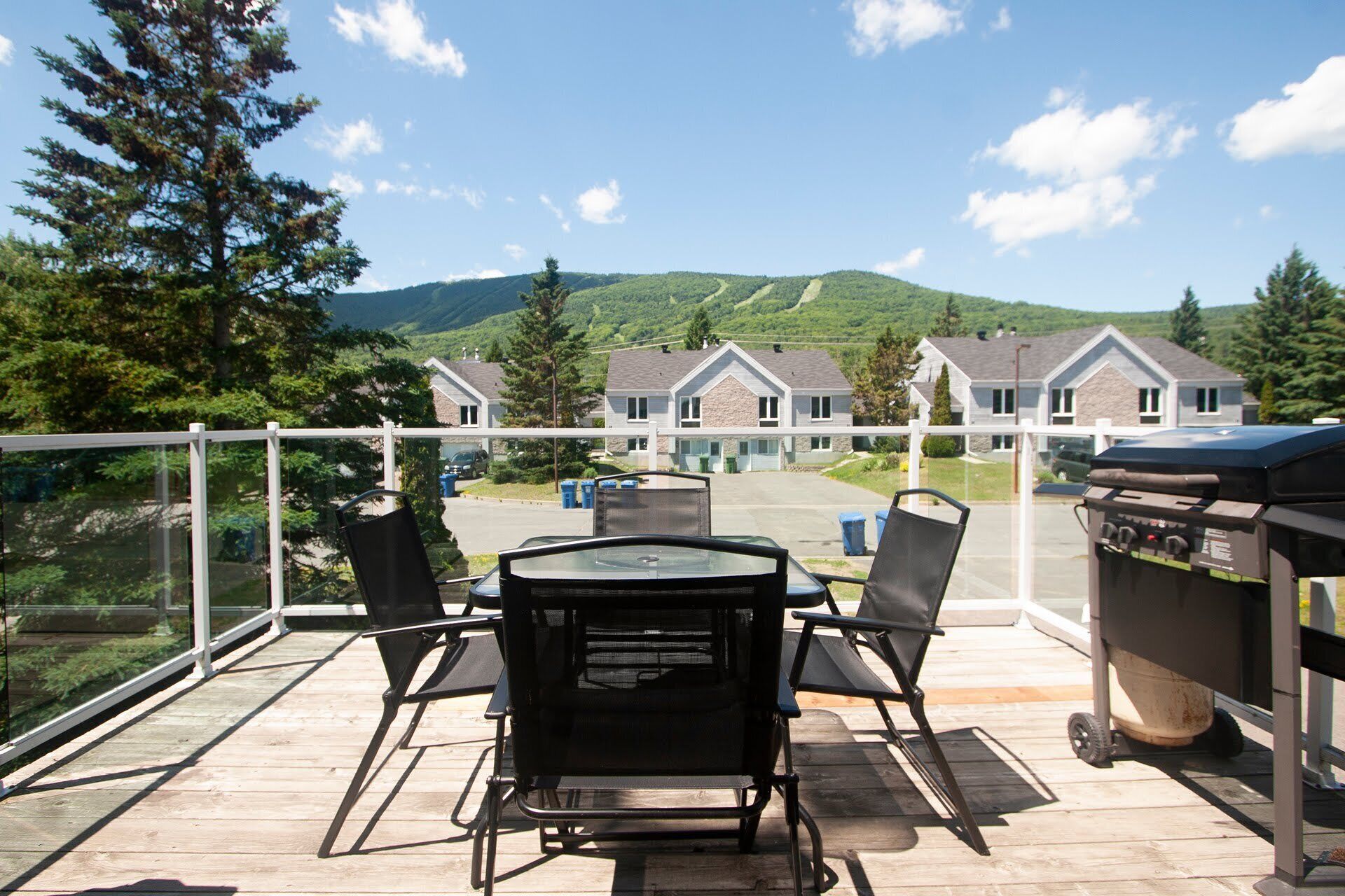 10 Best PetFriendly Rentals Near Laurentian Mountains, Canada Trip101