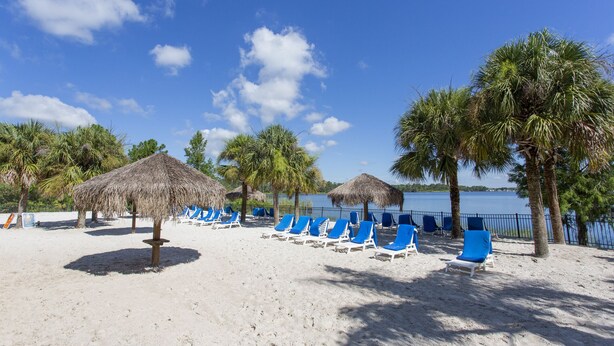 Une plage avec des parasols en chaume, des chaises longues bleues et des palmiers.