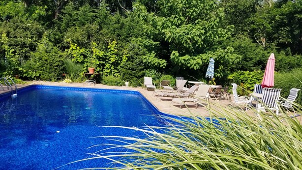 Une piscine rectangulaire bordée de carreaux, entourée d’une végétation luxuriante et agrémentée de mobilier d’extérieur.