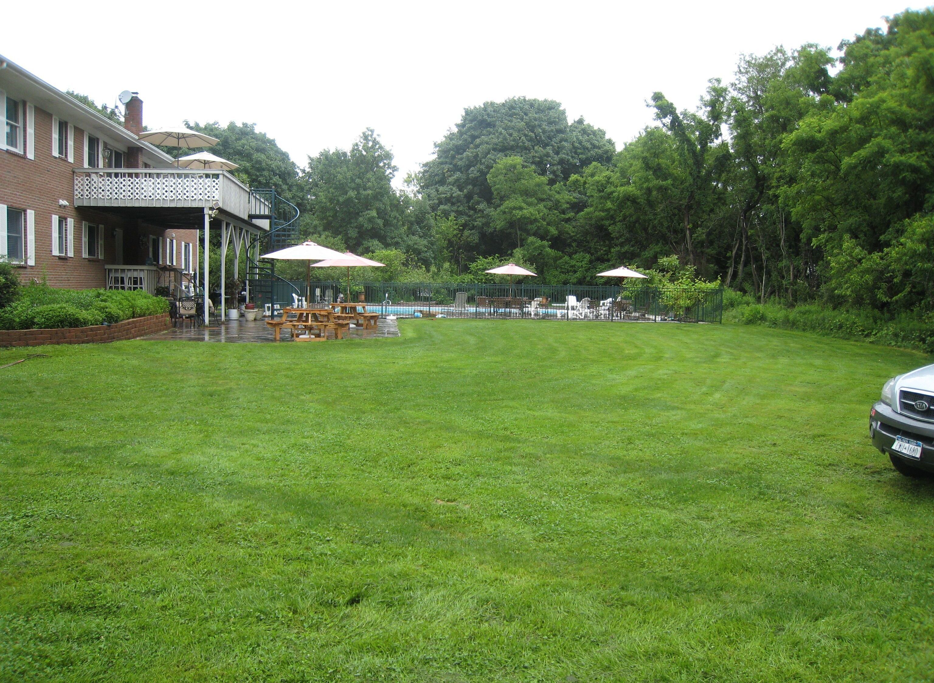 Une cour arrière verdoyante avec une piscine, des tables de pique-nique et des parasols.