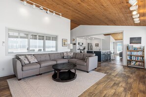 智能电视、DVD 播放器、书、音乐库