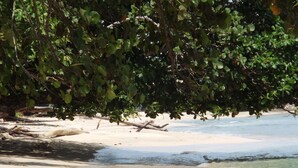 Ein Strand mit klarem Wasser, sandigem Ufer und üppiger Vegetation darüber.