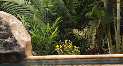 Eco Friendly Spacious Caribbean House with private pool.