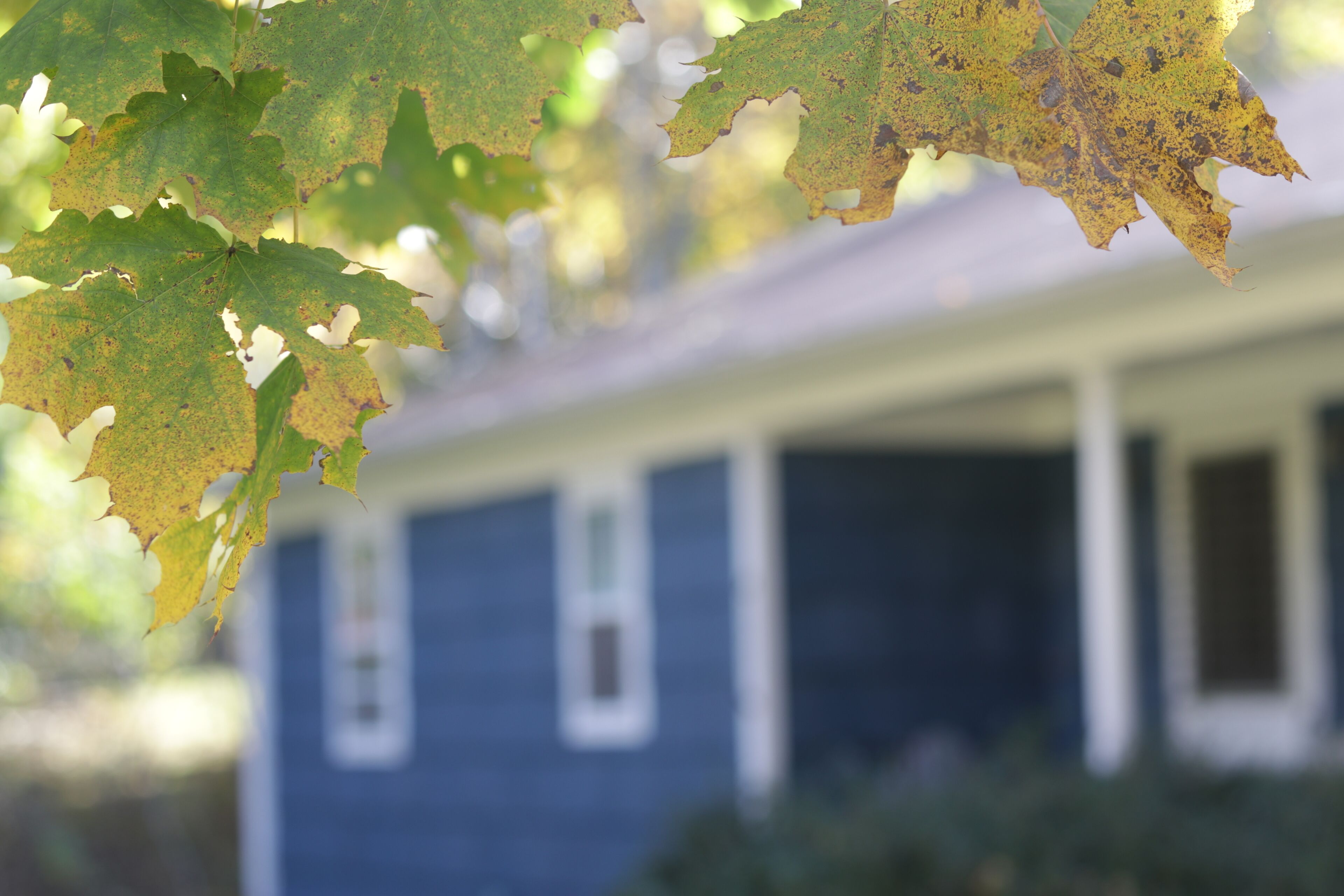 Relaxing Shelter Island Getaway - great for families and couples!