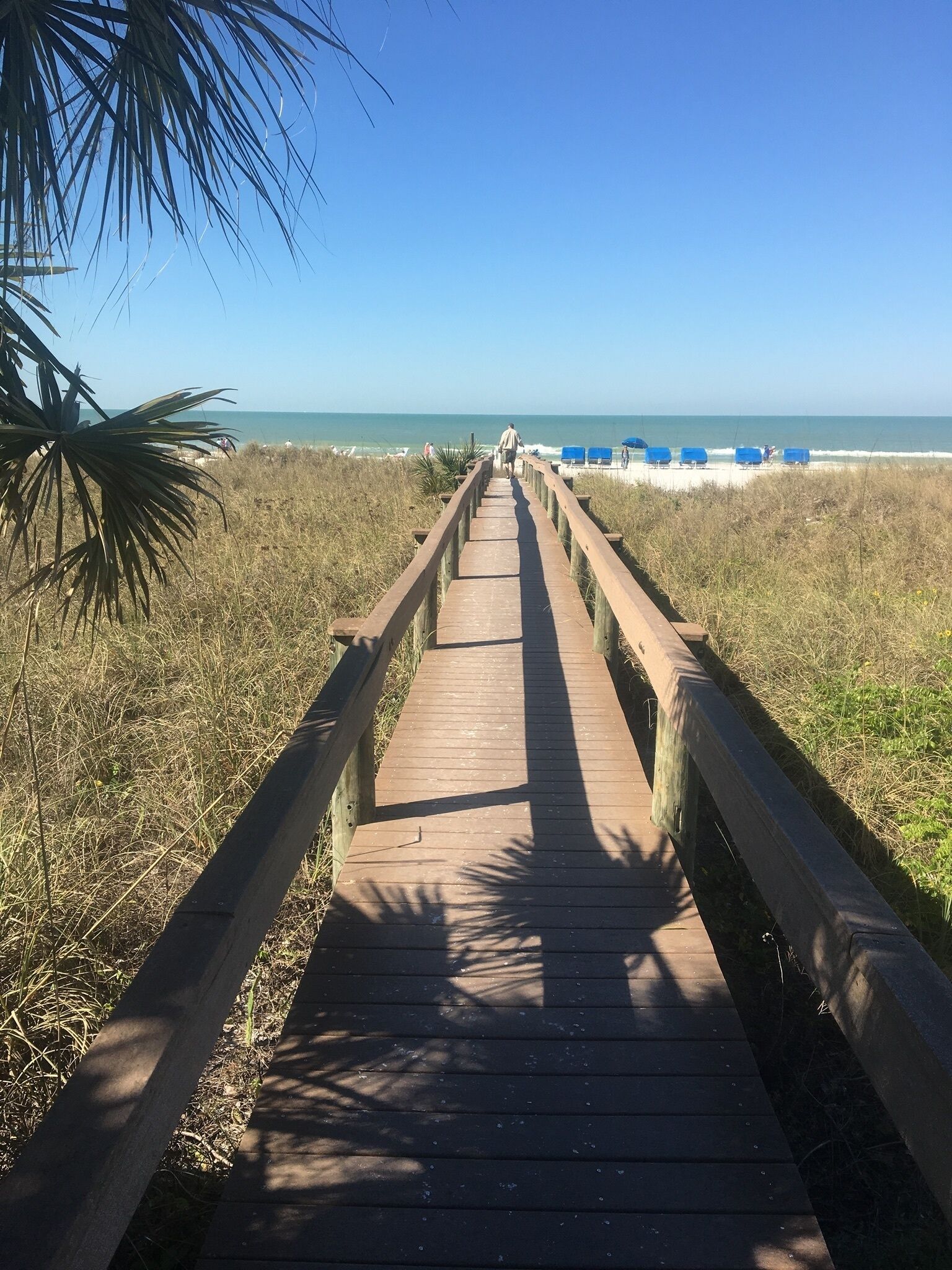 Sun-loungers, beach towels