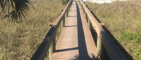 Sun-loungers, beach towels