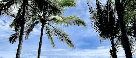 Am Strand, Liegestühle, Strandtücher