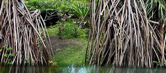 UNIQUE, erottuva rantahotelli HOME-Costa Rica 