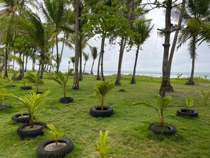 Eine Rasenfläche mit Palmen und Pflanzen in Reifen-Pflanzgefäßen, mit Blick auf einen Strand.