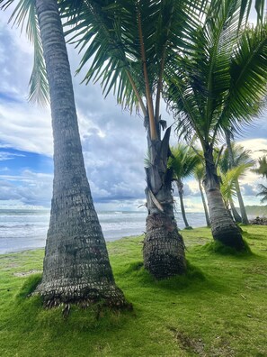Plage, chaises longues, serviettes de plage