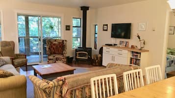 TV, fireplace, DVD player, books