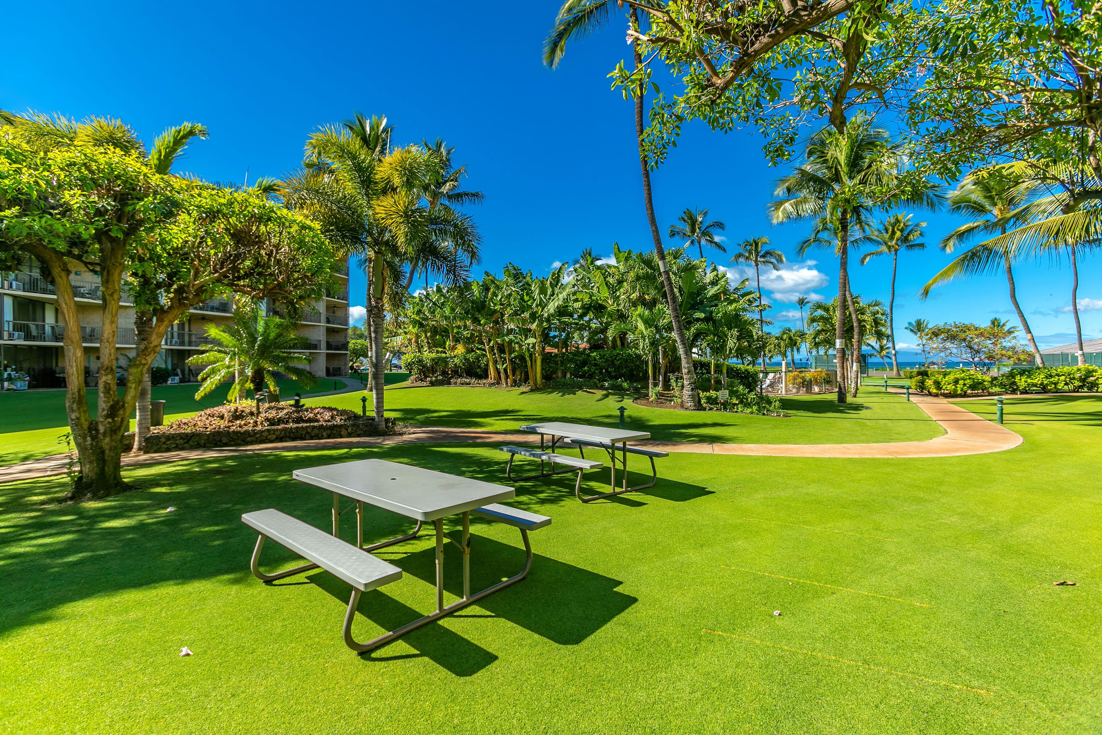 Un espacio exterior bien cuidado con mesas de picnic y abundante vegetación, incluyendo palmeras y un cielo azul despejado.