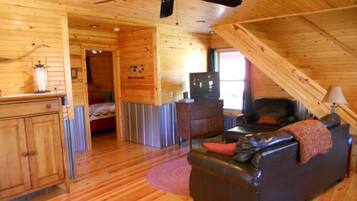 Televisión, chimenea, reproductor de DVD y libros