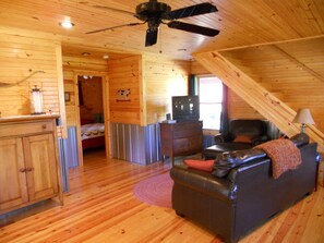 TV, fireplace, DVD player, books