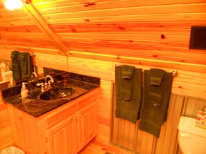 Combined shower/bathtub, hair dryer, towels