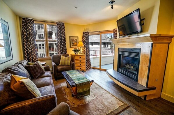 智能电视、壁炉、DVD 播放器