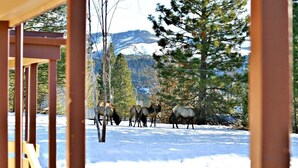 Unclassified image, 3 of 42, button - From 20 to 80 people, enjoy this private mountain Retreat! (Garden Valley)