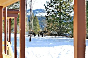 Property grounds - From 20 to 80 people, enjoy this private mountain Retreat! (Garden Valley)