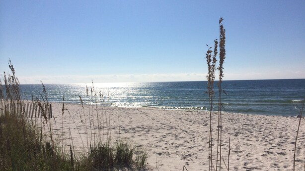 A sandy beach with tall grasses and a clear view of the ocean. - Oh what a view - 711A !!!! (Gulf Shores)