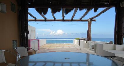 Luxury Retreat in the Heart of Downtown with an Infinity Pool right on the Ocean
