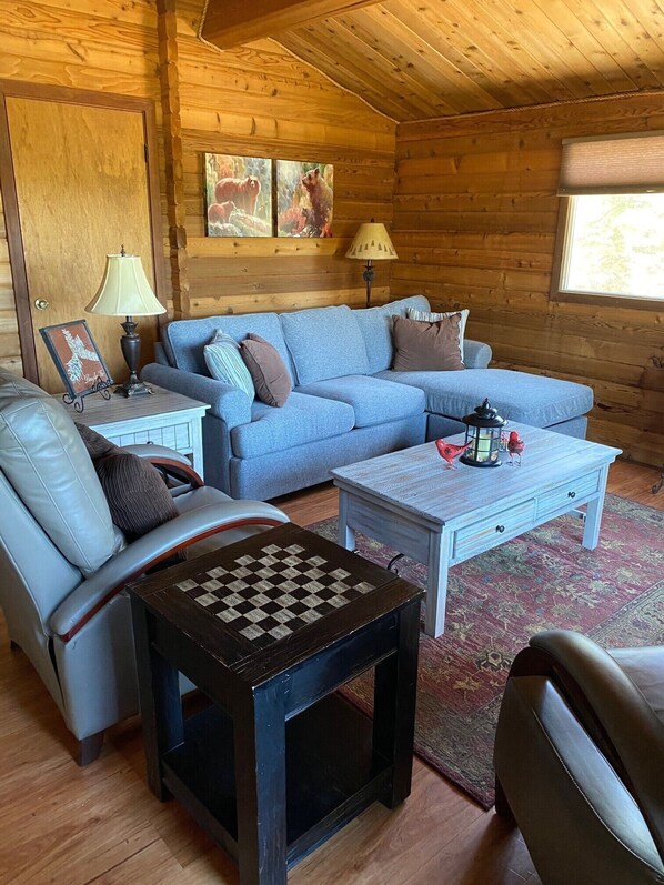 TV, fireplace, DVD player, books