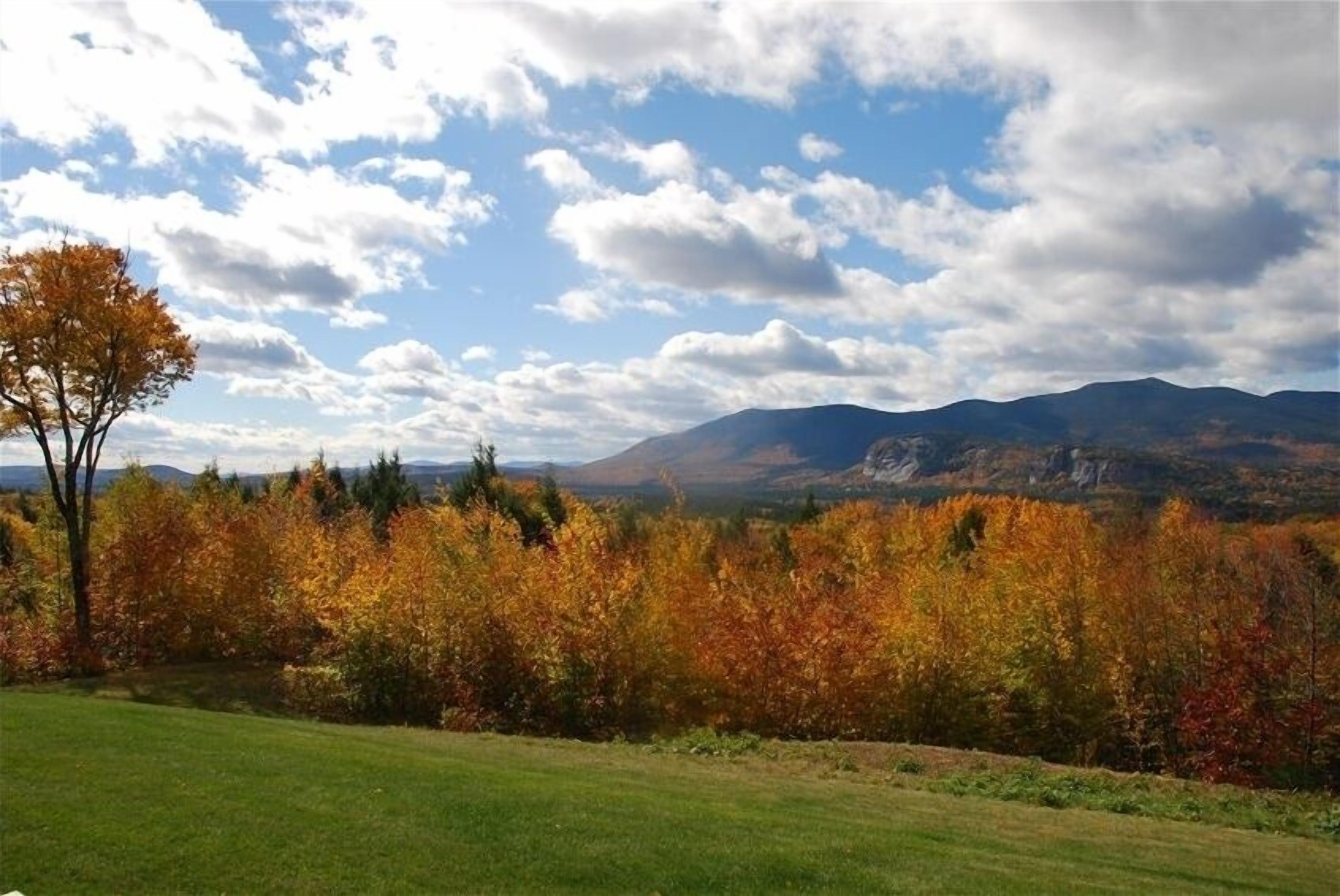 A landscape with autumn foliage, a grassy field, and distant mountains under a partly cloudy sky.