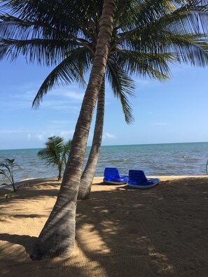 Plage, chaises longues