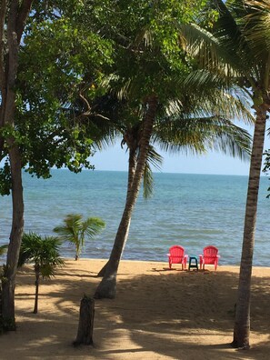 Plage, chaises longues