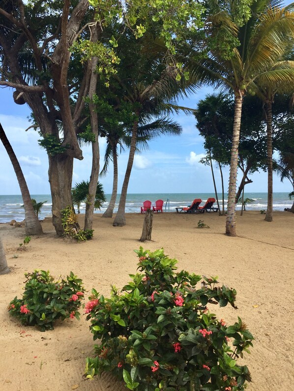 En la playa y camastros 