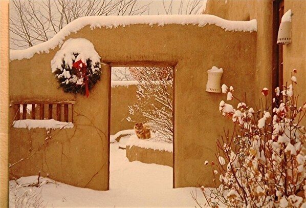 Terrain de l’hébergement 