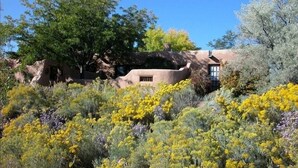 Un bâtiment de style rustique, construit en adobe, entouré d’une variété de plantes et d’arbres en fleurs.