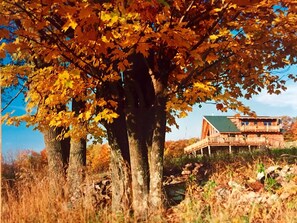 Área da propriedade