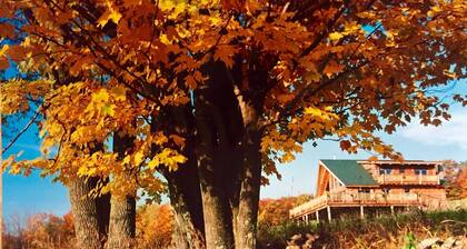 Summer fun in the Catskills