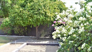 Ein Gartenbereich mit Baum, Kiesweg und blühendem Gebüsch.