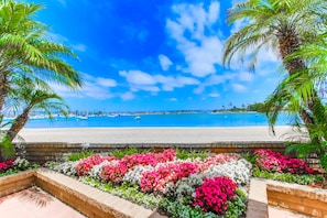 Une vue sur la côte, avec une piscine, des palmiers et des parterres de fleurs aux couleurs vives.