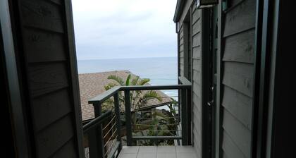 Oceanfront Retreat sydämessä Encinitas!