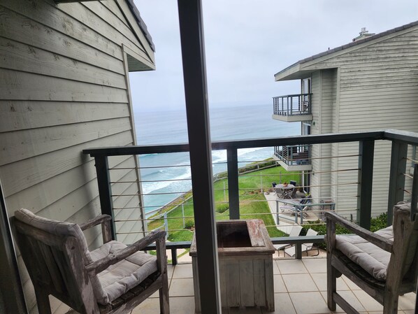 Property grounds - Oceanfront Retreat In Heart Of Encinitas! (Encinitas)