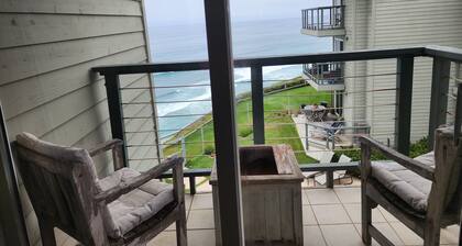 Oceanfront Retreat In Heart Of Encinitas!