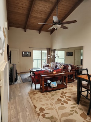 TV, DVD player, books, video library