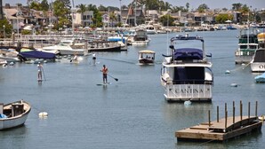 Un port esportiu amb diverses embarcacions amarrades, incloent-hi un vaixell blanc gran anomenat 'Cantina' i diversos vaixells més petits.