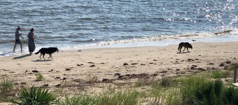 🔷 Water Front 🔷 Pet Friendly 🔷 Prime Hook Beach 🔷