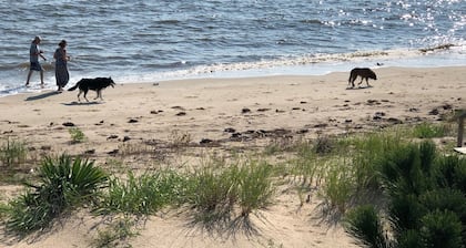 🔷 Water Front 🔷 Pet Friendly 🔷 Prime Hook Beach 🔷