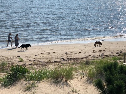 🔷 Water Front 🔷 Pet Friendly 🔷 Prime Hook Beach 🔷