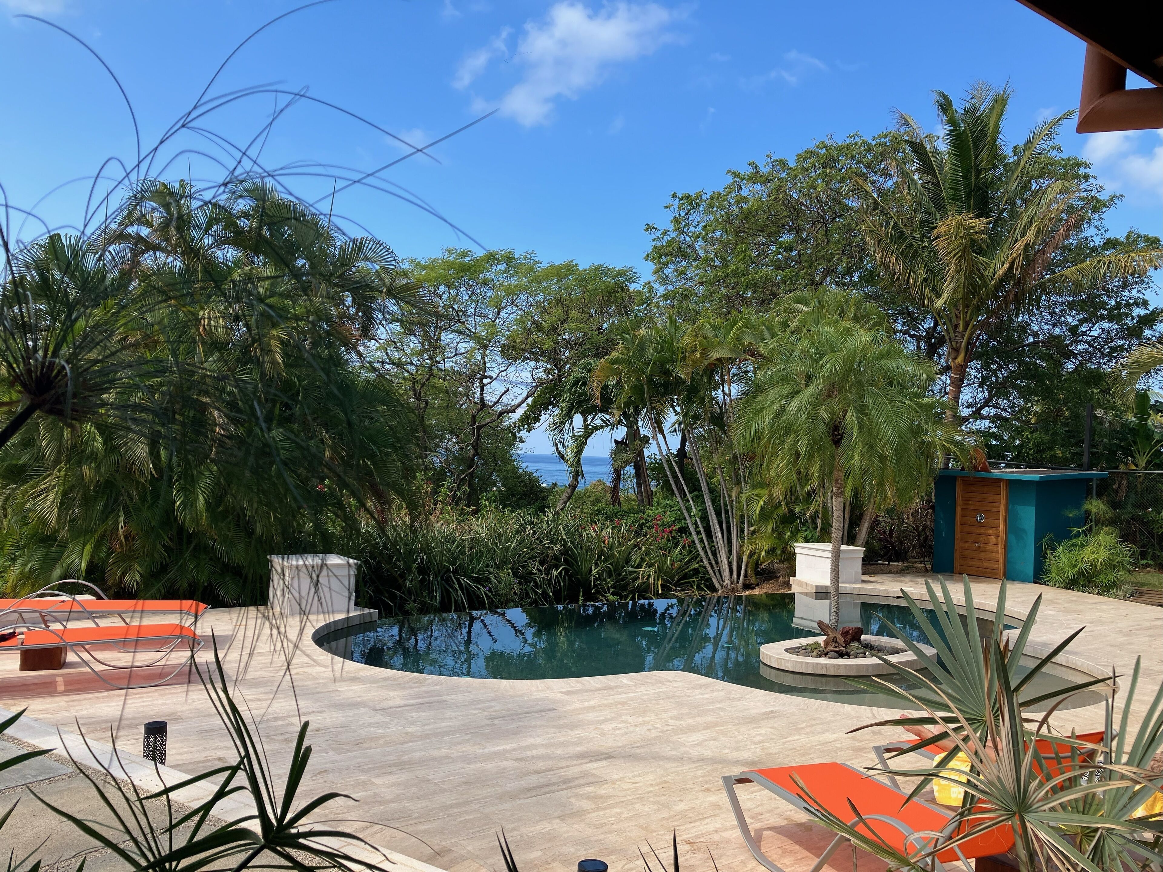 A pool area with a curved design, surrounded by lush greenery and palm trees.